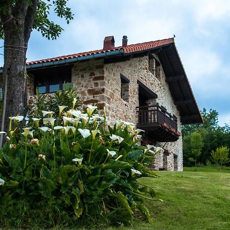 Apartamentos Rurales Larrago Busturia Zewnętrze zdjęcie